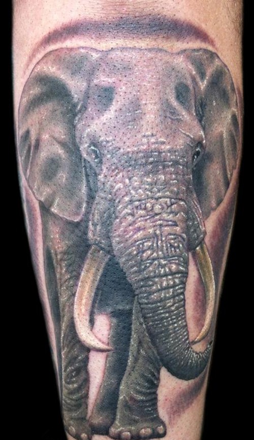 点击大图看下一张：经典大象图案纹身图3