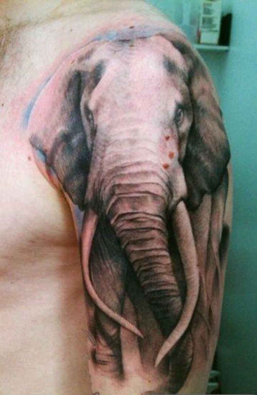 点击大图看下一张：经典大象图案纹身图4