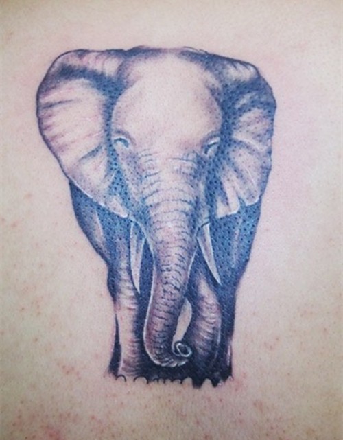 点击大图看下一张：经典大象图案纹身图5