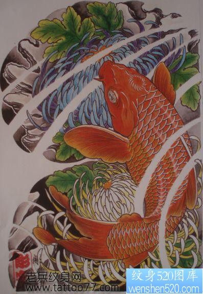 点击大图看下一张：流行经典的半甲鲤鱼菊花纹身手稿