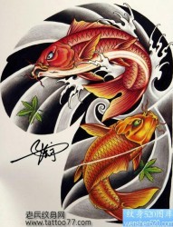 彩色半甲鲤鱼纹身手稿―纹身520图库为你提供