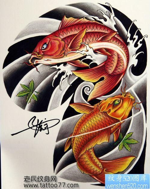 点击大图看下一张：彩色半甲鲤鱼纹身手稿―纹身520图库为你提供