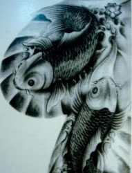 半胛鱼纹身图片：半胛鲤鱼锦鲤纹身图片纹身作品
