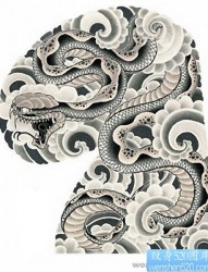 老传统纹身之日式半胛蛇云纹手稿图片展示