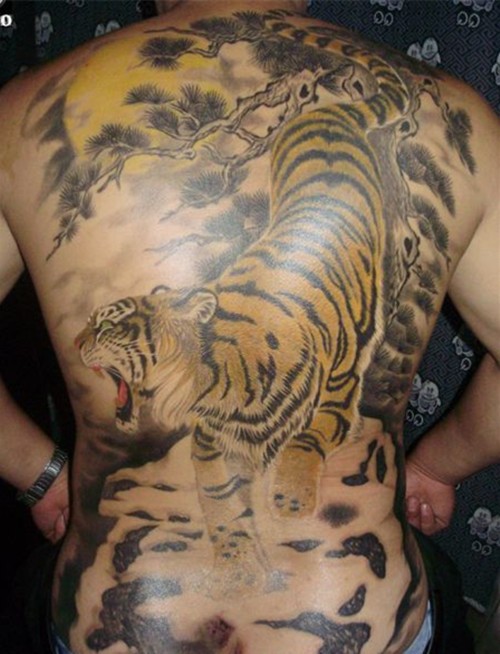 点击大图看下一张：霸气下山虎半甲后背纹身图6