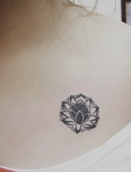 女性肩部小小的黑白色莲花图腾刺青