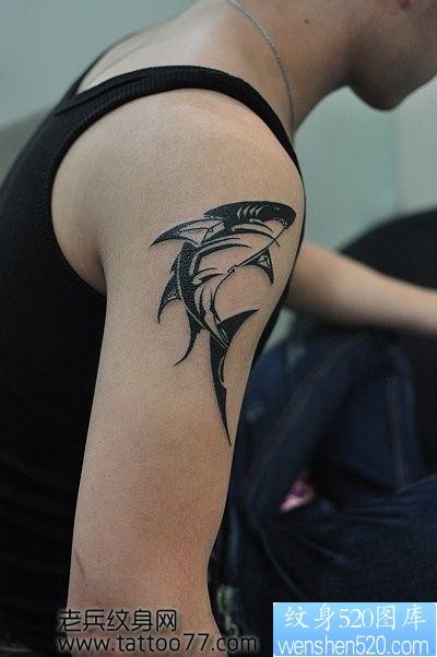点击大图看下一张：大臂帅气的图腾鲨鱼纹身图片