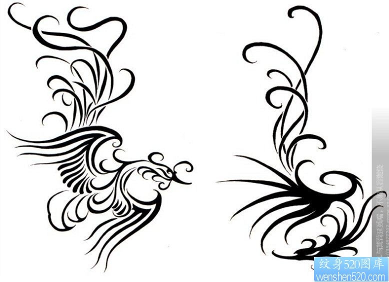 点击大图看下一张：图腾白鸟之王凤凰纹身图案