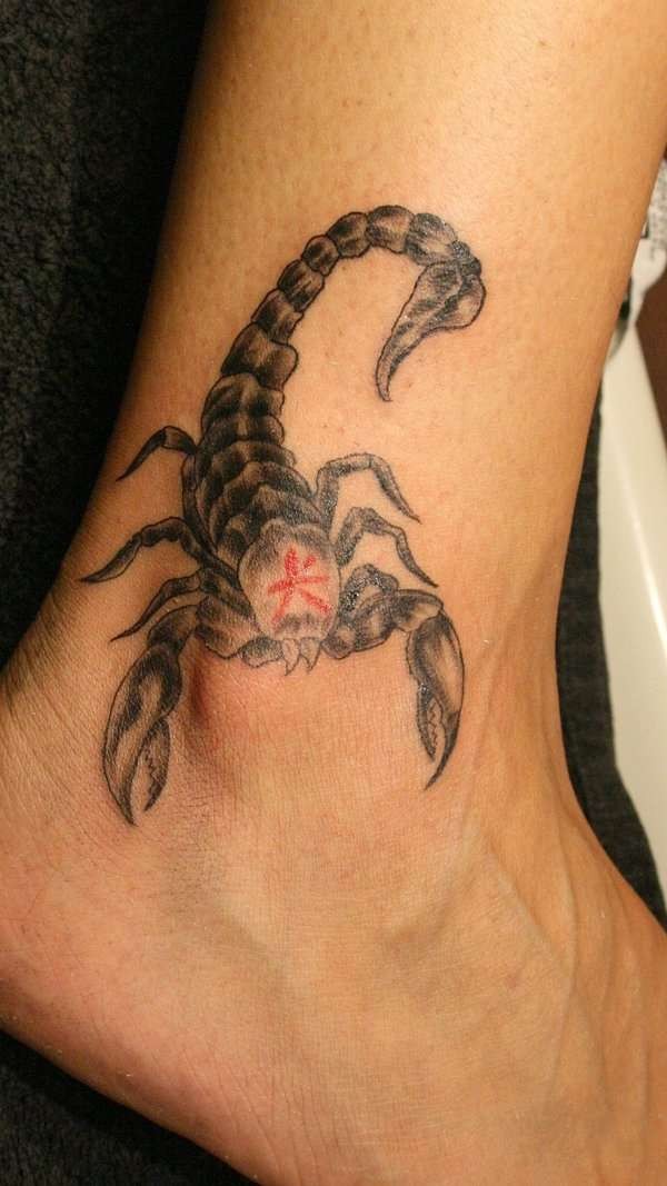 点击大图看下一张：脚踝甜美的蝎子图腾纹身图4