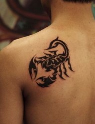 肩部帅气的蝎子图腾纹身