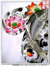 一组漂亮的鲤鱼刺青手稿素材