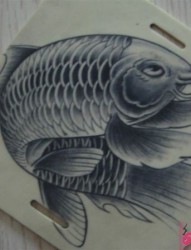 霸气鲤鱼纹身手稿