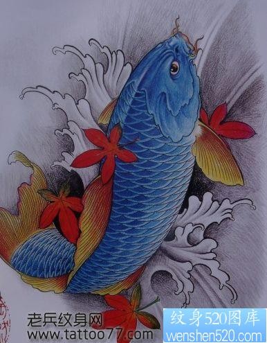 点击大图看下一张：纹身手稿一幅蓝色鲤鱼纹身手稿