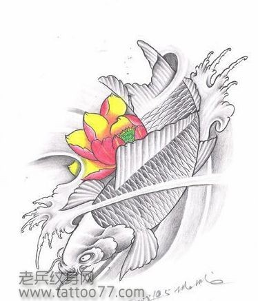 点击大图看下一张：灰色鲤鱼和彩色莲花纹身手稿