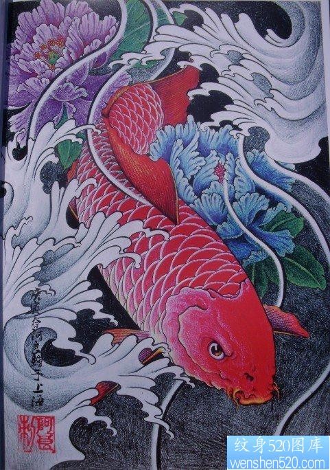 点击大图看下一张：纹身520图库为你提供一张彩色鲤鱼牡丹纹身图案