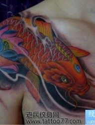 一张彩色过肩鲤鱼纹身图片
