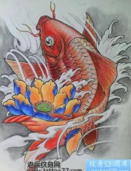 一张时尚的鲤鱼莲花纹身图片