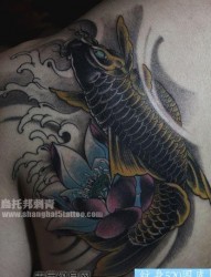 背部经典的鲤鱼莲花纹身图片