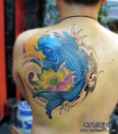 点击大图看下一张：男生肩背漂亮的彩色鲤鱼莲花纹身图片
