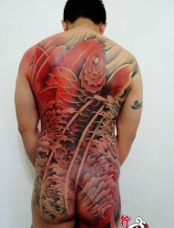 男生满背好看的彩色鲤鱼纹身图片