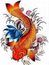 美女腰部唯美漂亮的彩色鲤鱼纹身图片