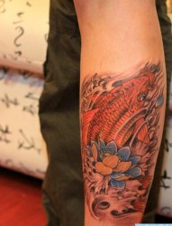 男生肩背流行精美写实的彩色鲤鱼纹身图片