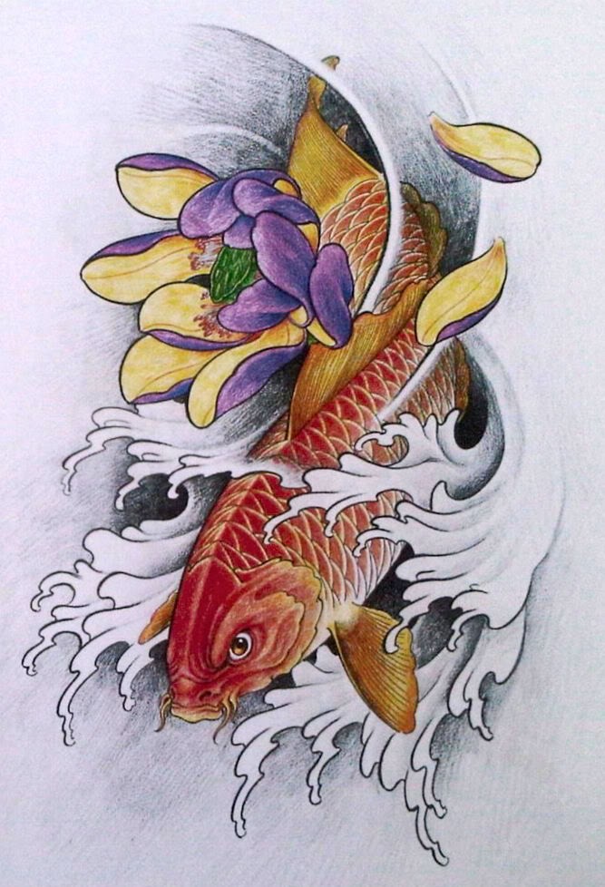 点击大图看下一张：彩色鲤鱼和莲花的组着纹身手稿图3