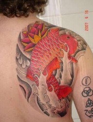 美女肩部个性的鲤鱼纹身