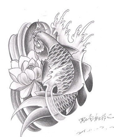 点击大图看下一张：经典漂亮的黑白鲤鱼纹身手稿图2