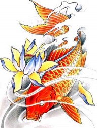 漂亮时尚的红鲤鱼纹身手稿