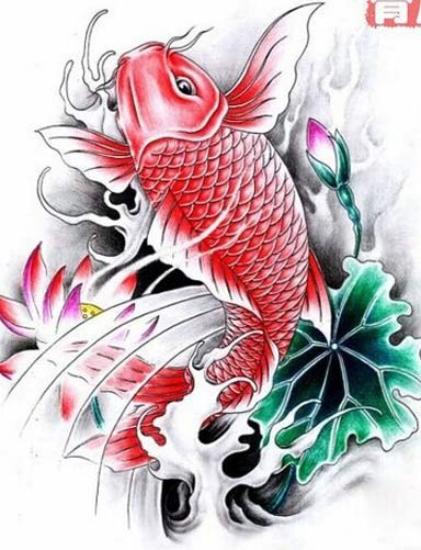 点击大图看下一张：漂亮时尚的红鲤鱼纹身手稿