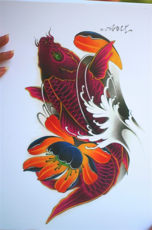 点击大图看下一张：漂亮时尚的红鲤鱼纹身手稿图4