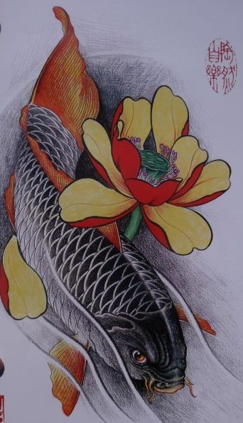 点击大图看下一张：漂亮时尚的红鲤鱼纹身手稿图3