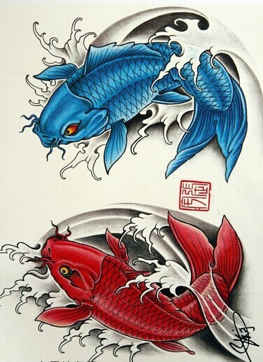 点击大图看下一张：漂亮时尚的红鲤鱼纹身手稿图5
