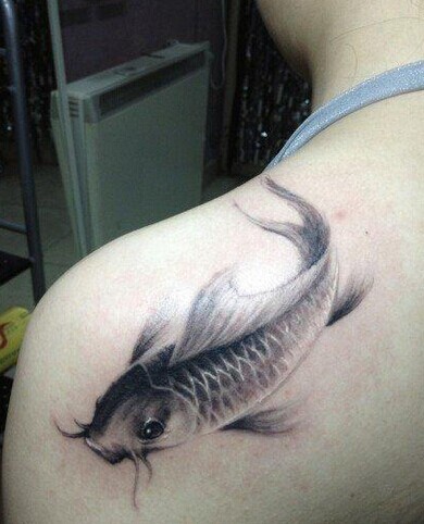 点击大图看下一张：美女肩部个性的鲤鱼刺青