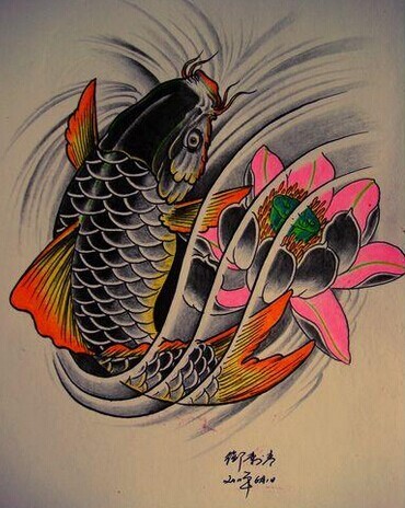 点击大图看下一张：非常漂亮的鲤鱼纹身手稿图2