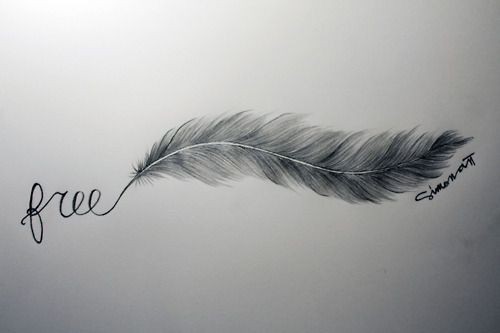 点击大图看下一张：一张唯美漂亮的羽毛英文纹身