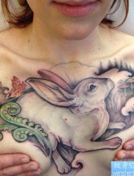 推荐一张性感流行的兔子纹身图片