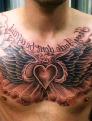 男士胸部大气的翅膀英文纹身
