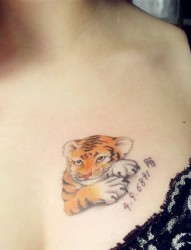 女性胸部彩色老虎可爱创意刺青