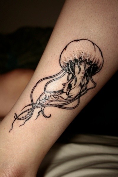 点击大图看下一张：小腿部漂亮的水母纹身