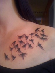 女性肩部一群鸽子纹身