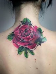 女性背部漂亮的玫瑰纹身