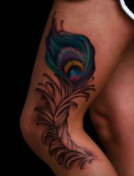 女性腿部漂亮的孔雀羽毛纹身