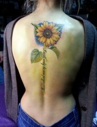 女性背部漂亮的向日英文葵纹身
