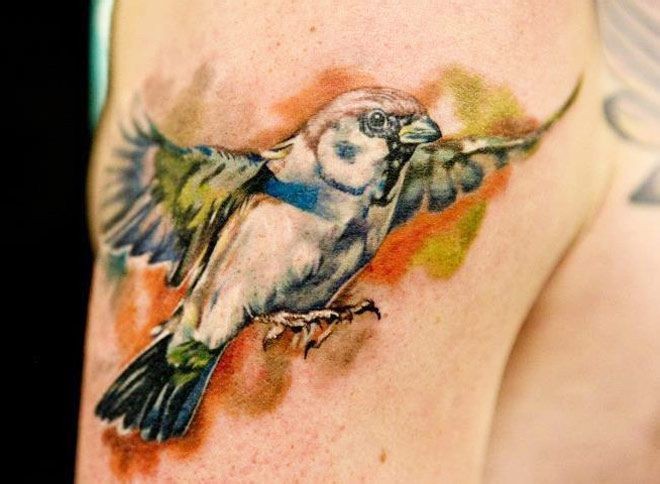 点击大图看下一张：手臂好看的小鸟纹身
