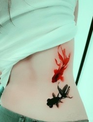女人腰部黑红金鱼纹身图