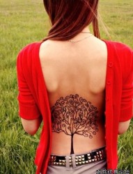 红衣美女后背腰上的大树纹身作品