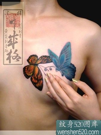 点击大图看下一张：女性胸前彩色红蓝蝴蝶纹身欣赏