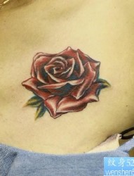 女性纹身图片：胸部彩色玫瑰纹身图案